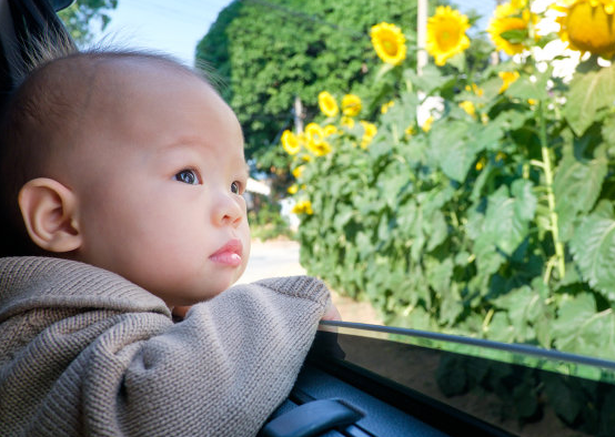 宝宝取名丨7月出生的双胞胎男孩名字盘点